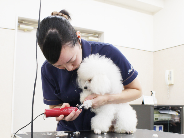 先生の試技を１年生が見学☆ＰＡＲＴ①☆